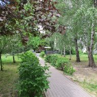 Mieszkanie na wynajem